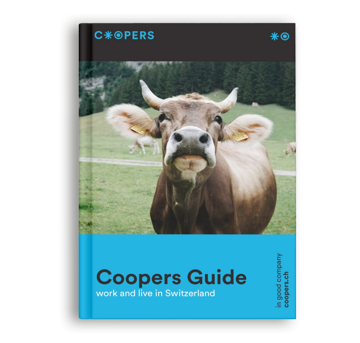 Coopers Guide Cover mit einer Schweizer Kuh auf einer grünen Wiese.